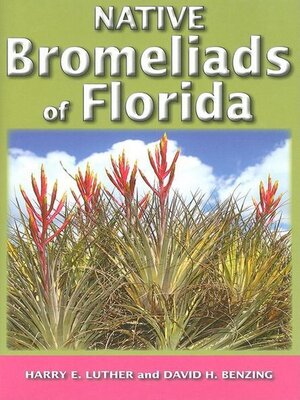 cover image of Native Bromeliads of Florida